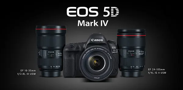 home-top-small-banner-2